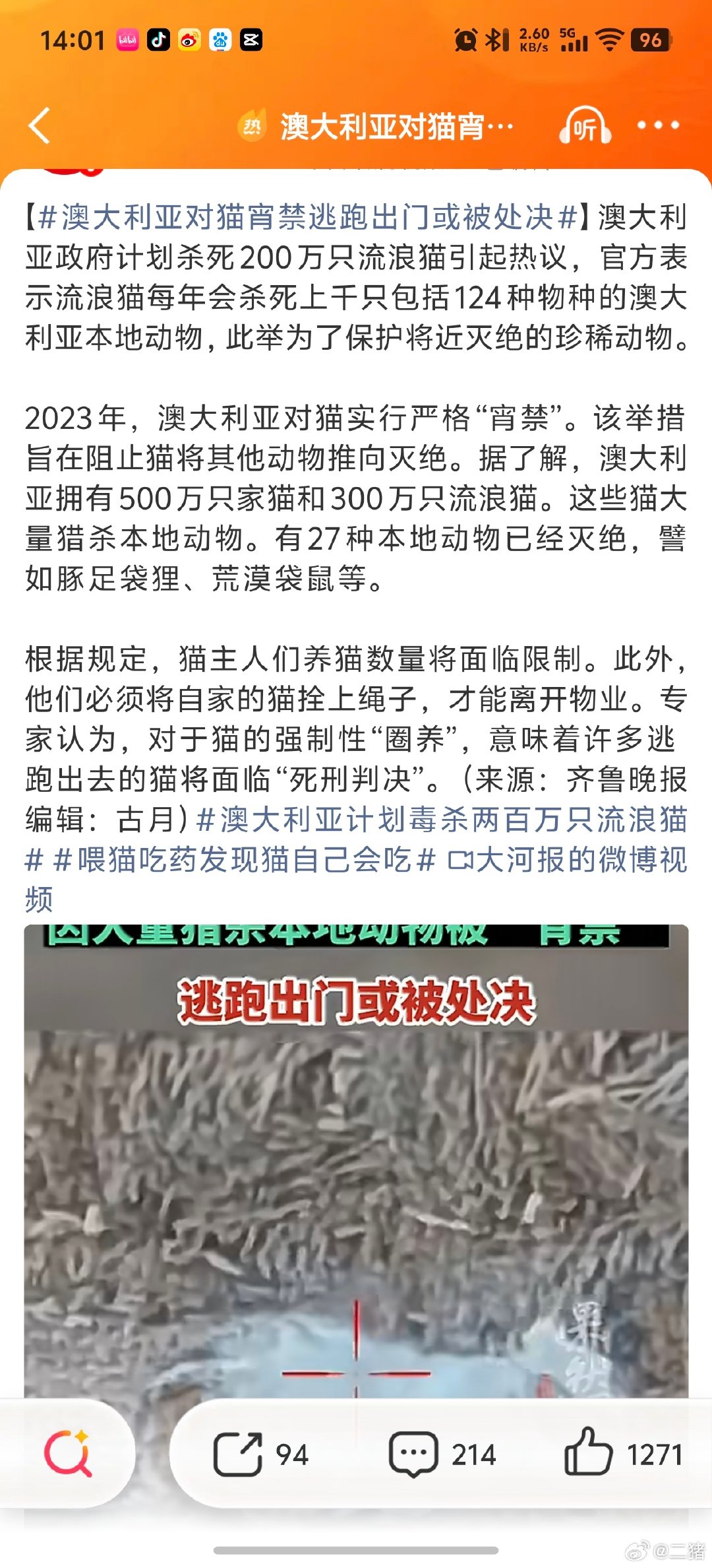 #澳大利亚对猫宵禁逃跑出门或被处决#
这才是正确做法，散养猫/狗都应该视为无主的流浪动物，收容之后领养，没人领养的无公害处理或者学澳大利亚直接处决  ​