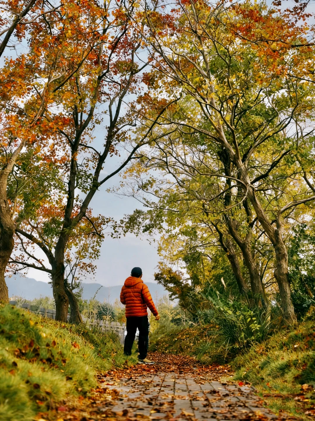 在重庆｜99%人都不知道的小众赏秋地