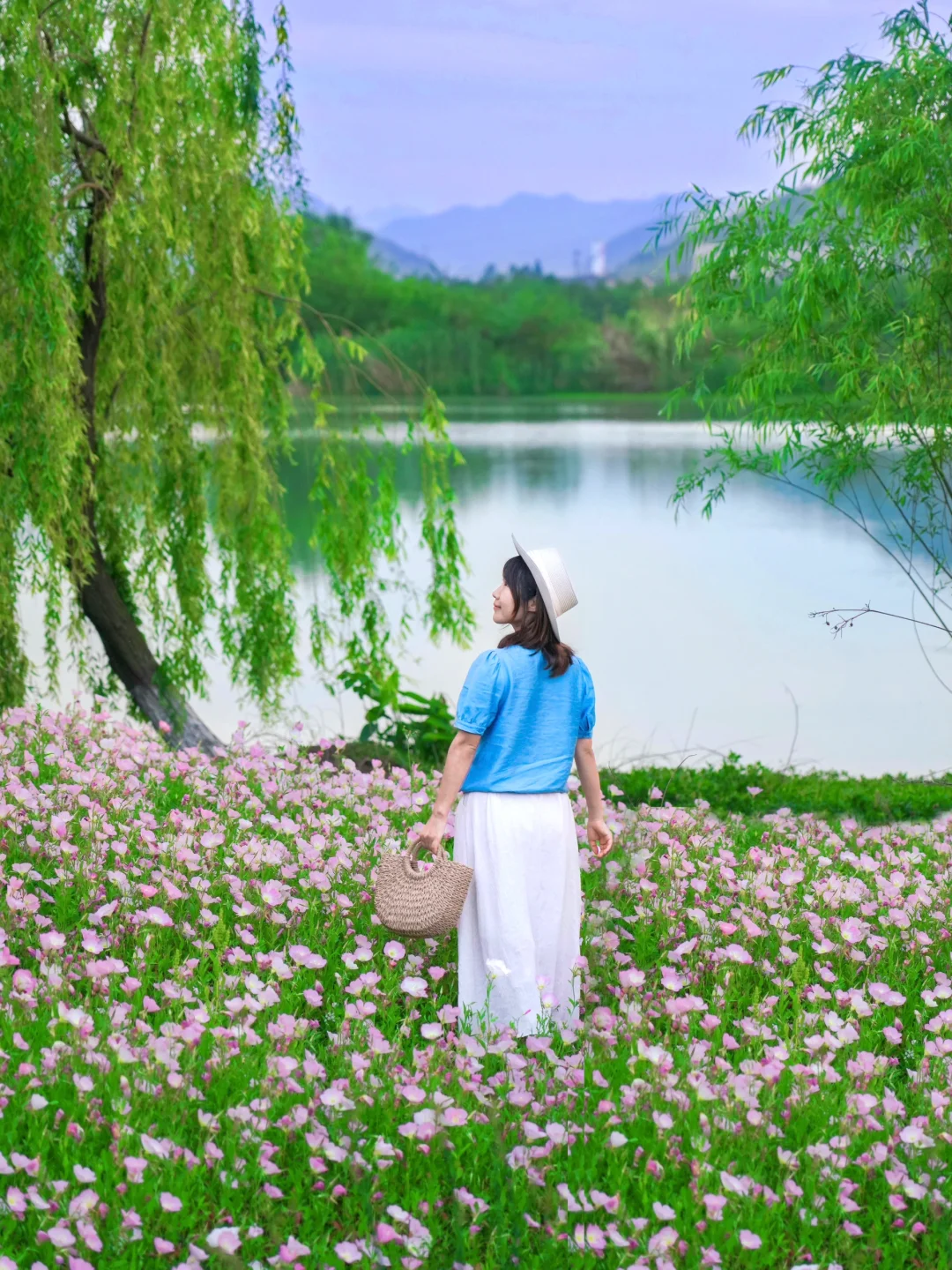 4·28实况，杭州没什么人知道的免费莫奈花园