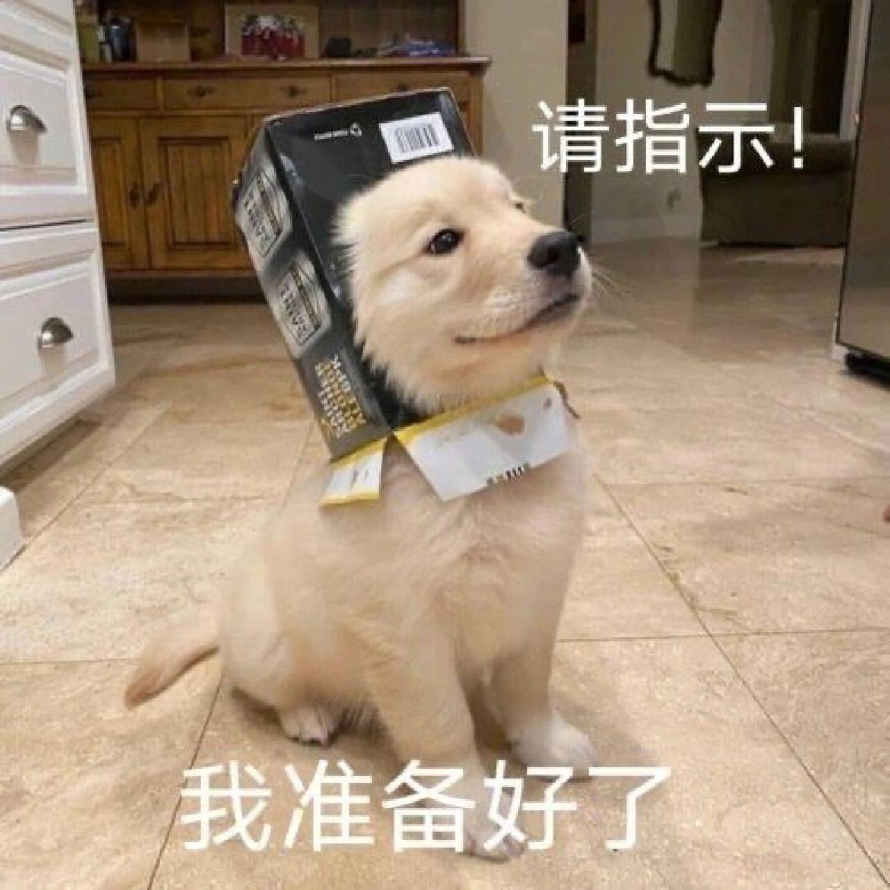 又到了存表情包的快乐时间 ​​​