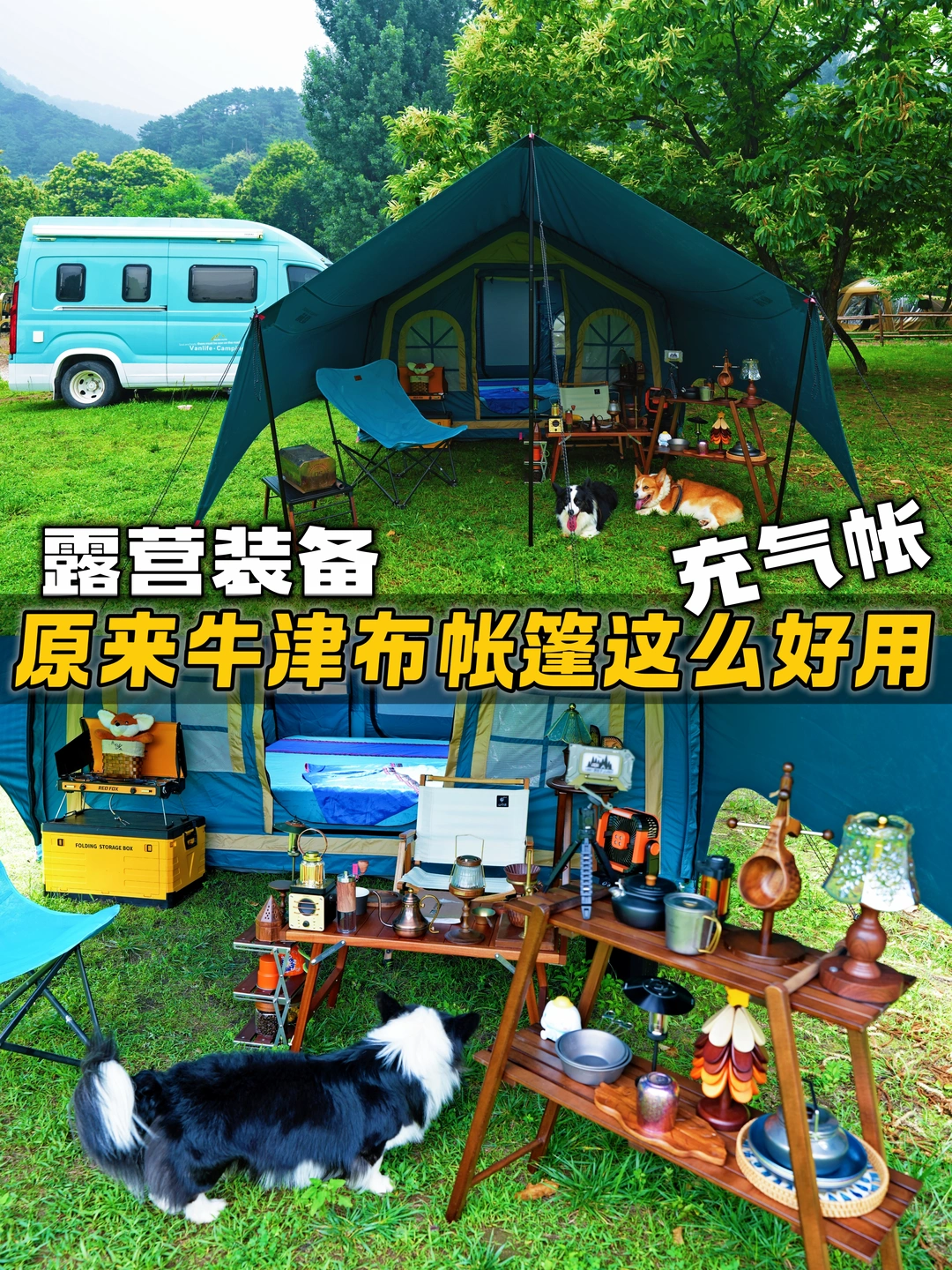 栗子树下露营｜把复古氛围感搬进山野
