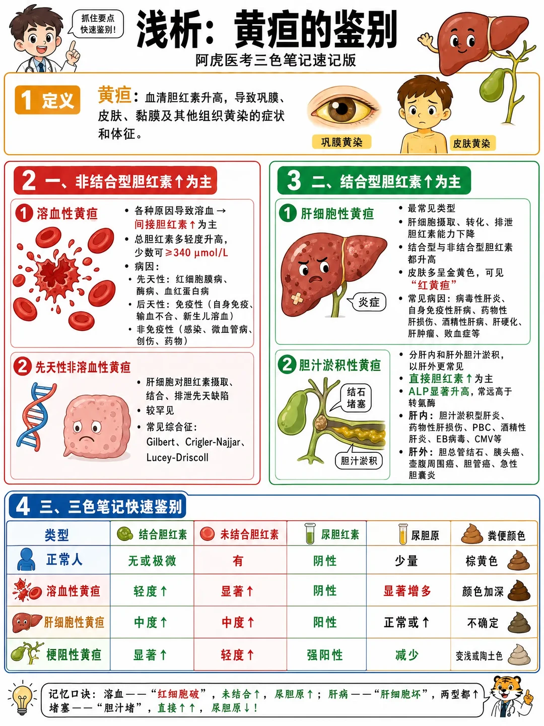 阿虎医考笔记📝｜用口诀搞定黄疸的鉴别
