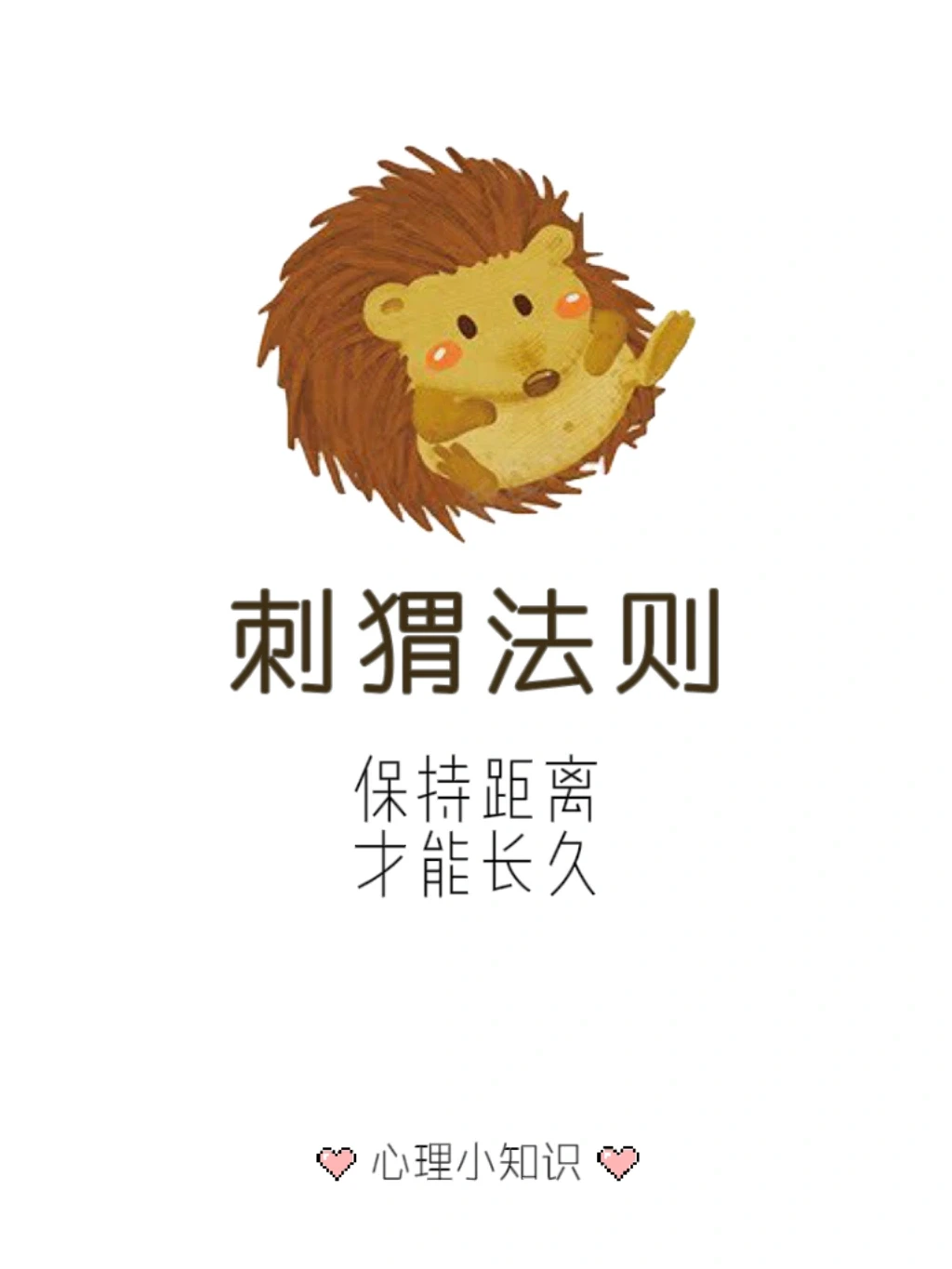 刺猬法则 —— 关系保持合适的距离才能长久