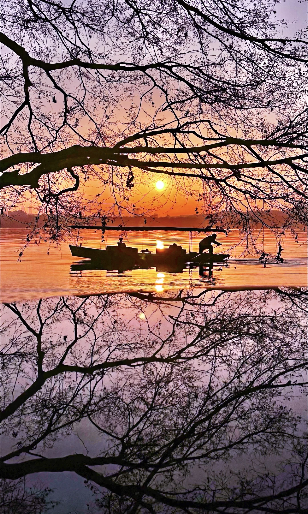 1.10实拍Live！总要来看一次冬日西湖日出🌅