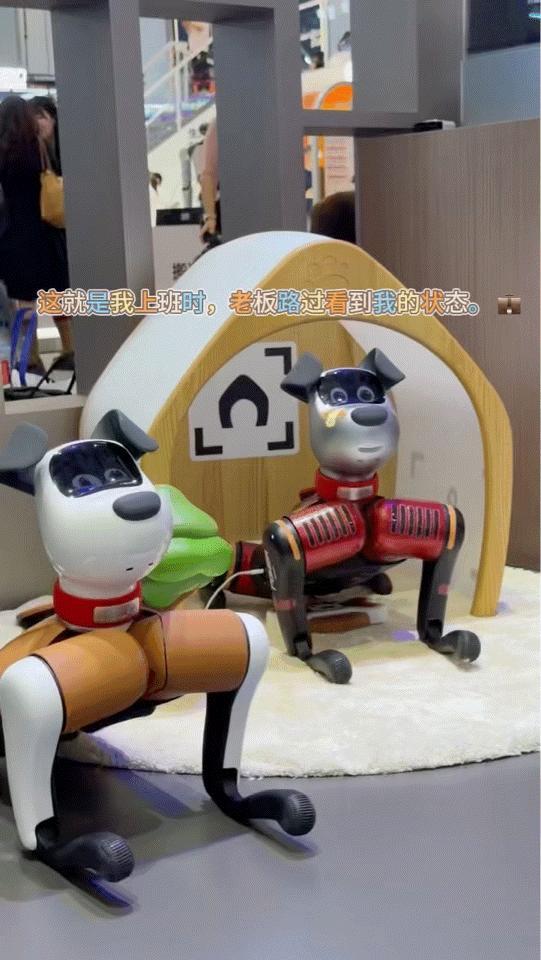 #WRC现场京东机器人硬控小孩哥姐# 说实话我之前对未来机器人的想象就是那种贼拉酷炫高冷带着机械感，但是京东机器人真的打开了我的新世界，刀盾狗出现的时候我真的笑喷了啊，谁不想急头白脸往家里养个这个，还有joy脚初看时还觉得有点奇怪但是越看越萌，尤其还会去挑衅比他大的其他机器人🫪这个我是 ​