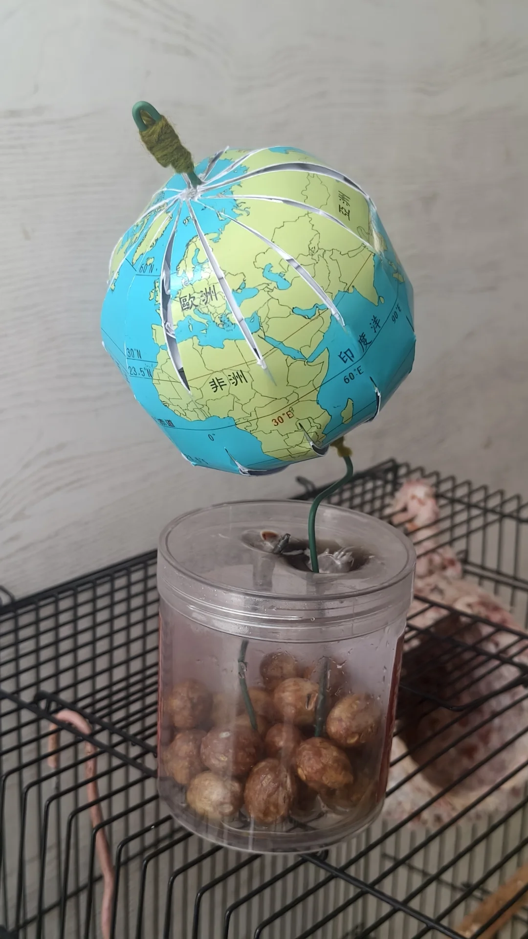 初一地球仪制作作业