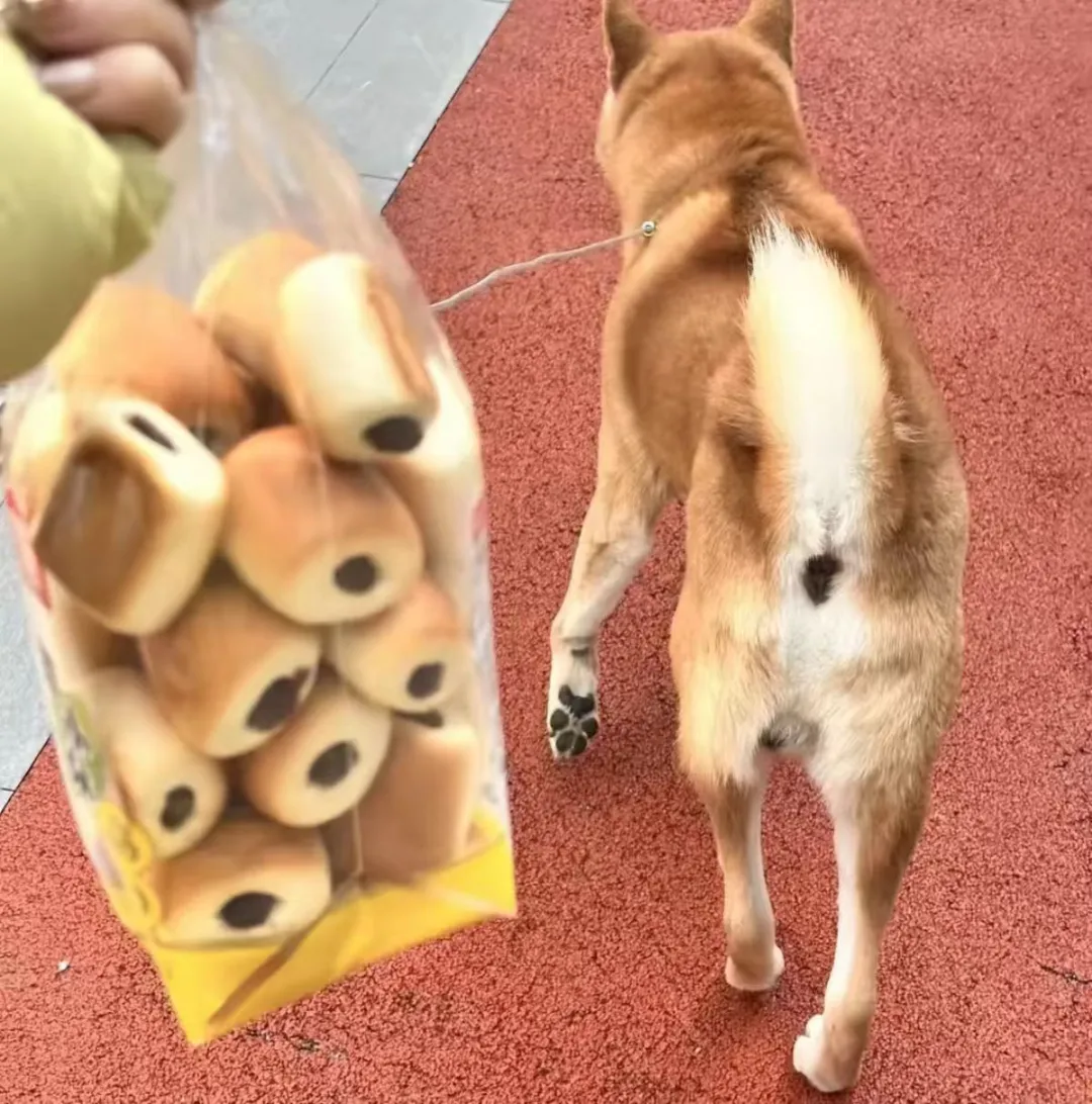 盘点那些搞笑“撞衫”