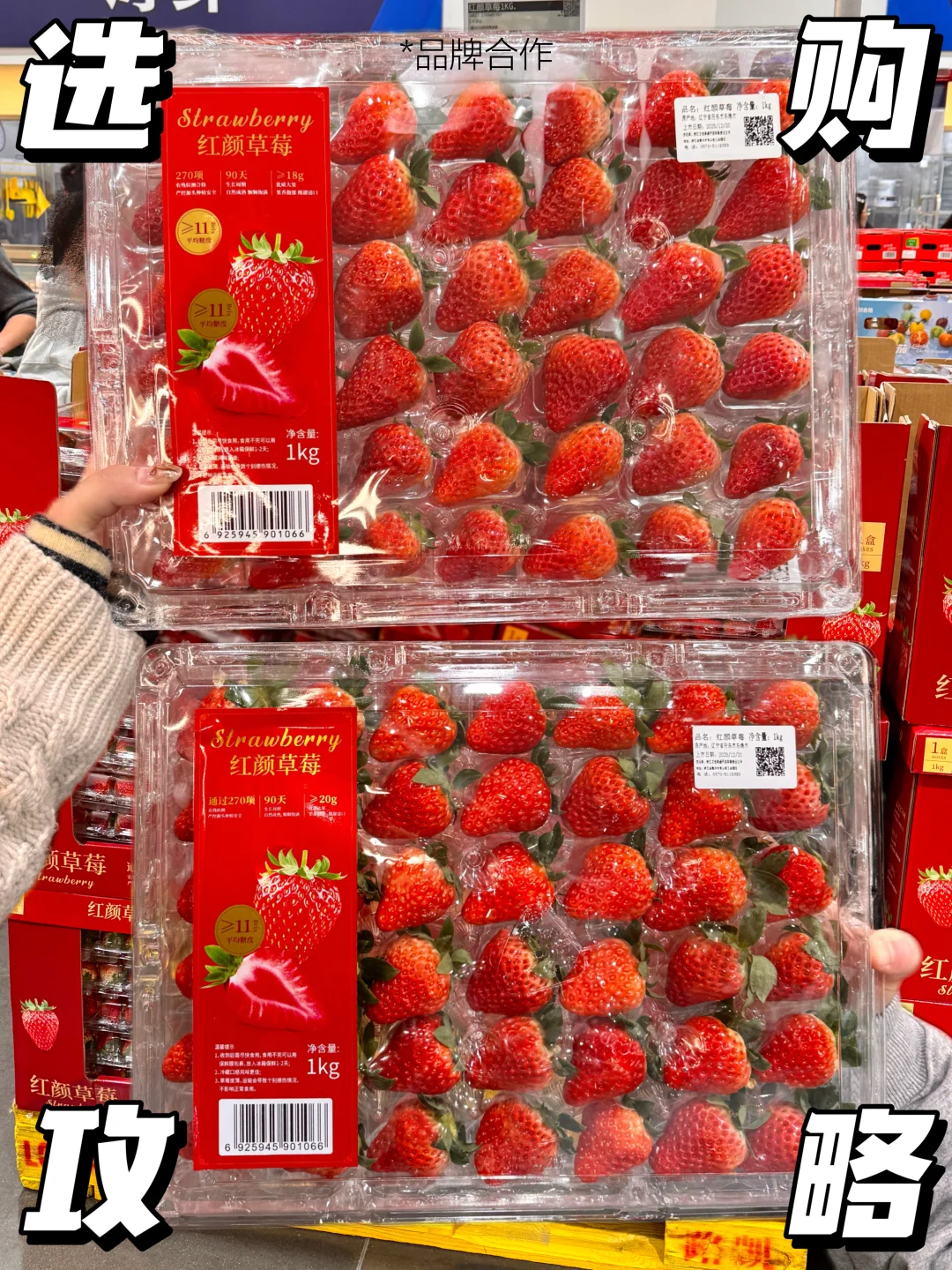 报！！在山姆挑选到了我的人生草莓（攻略版🍓