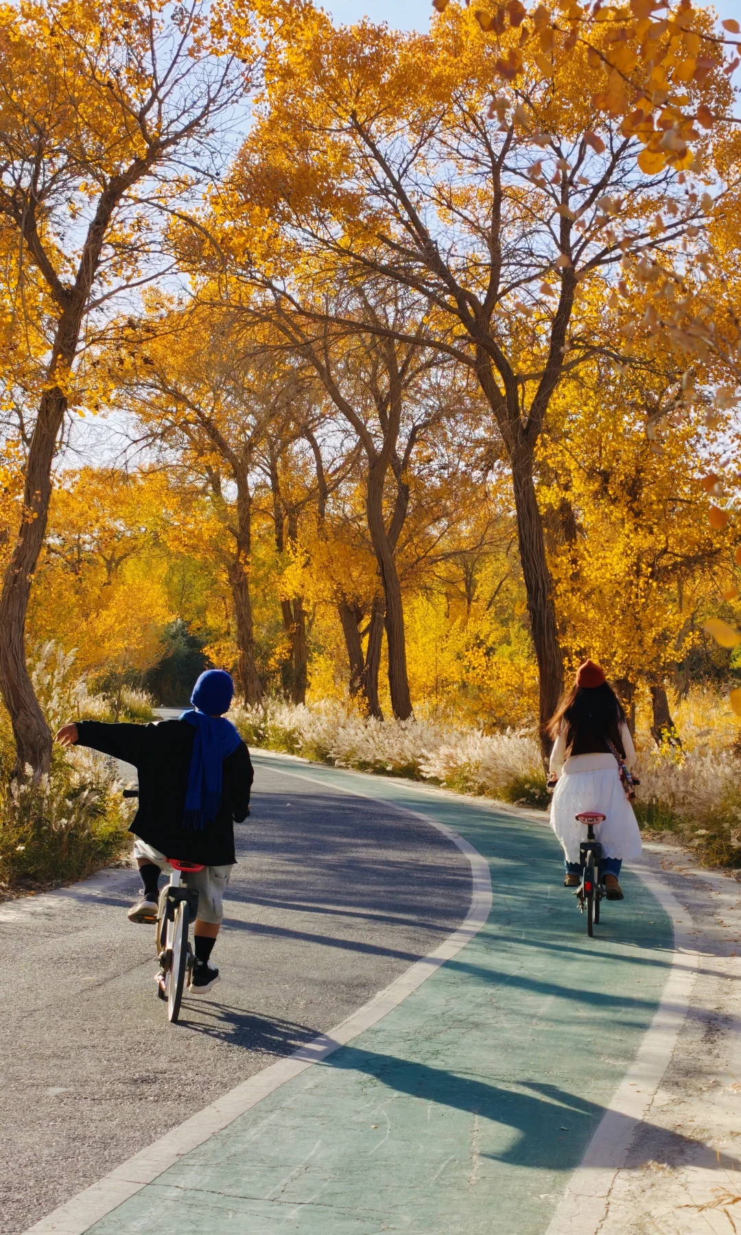 10.15实拍live‼️全屏的南疆胡杨林杀疯了‼️