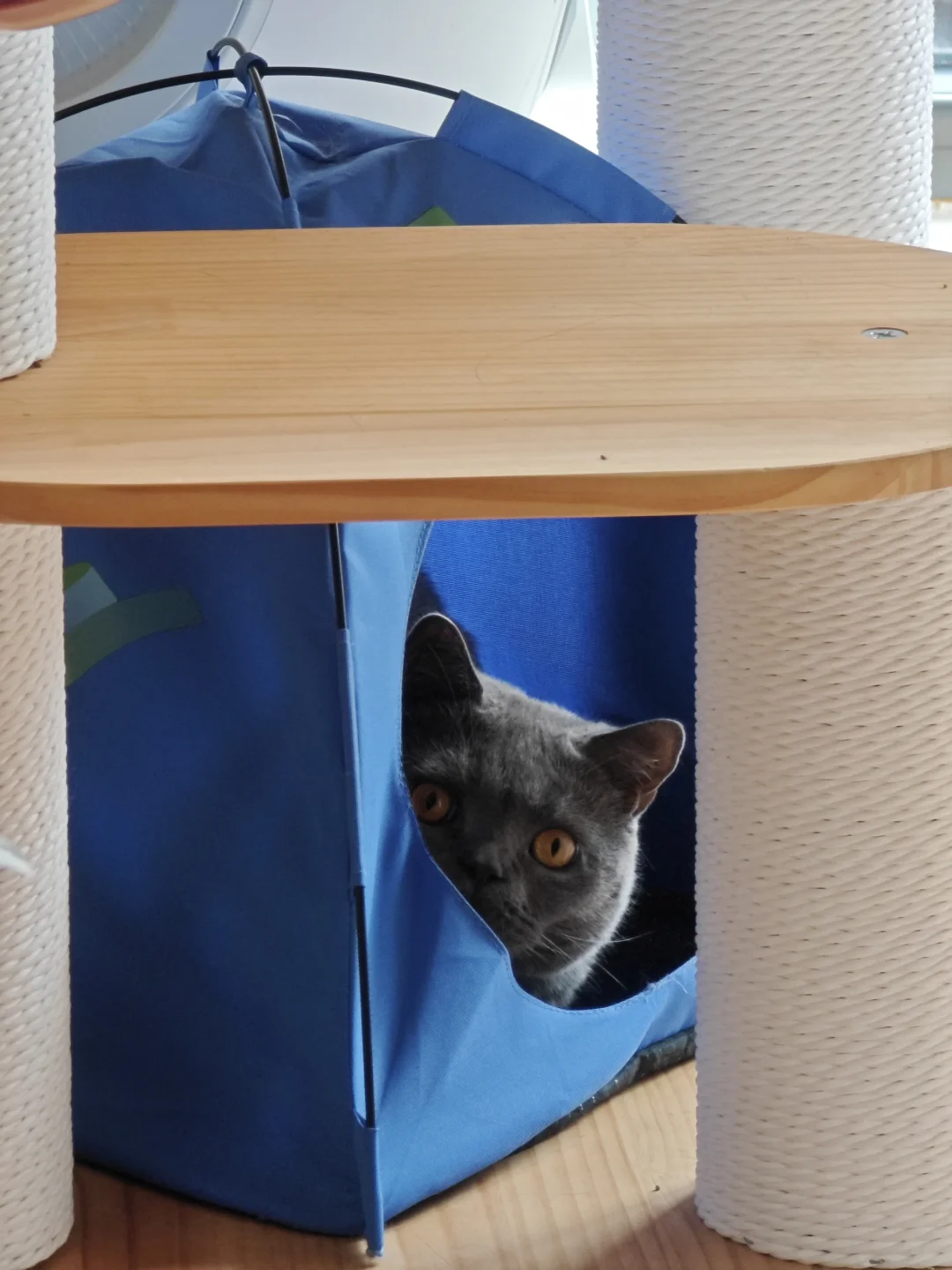 偷感太重了吧！😂😂