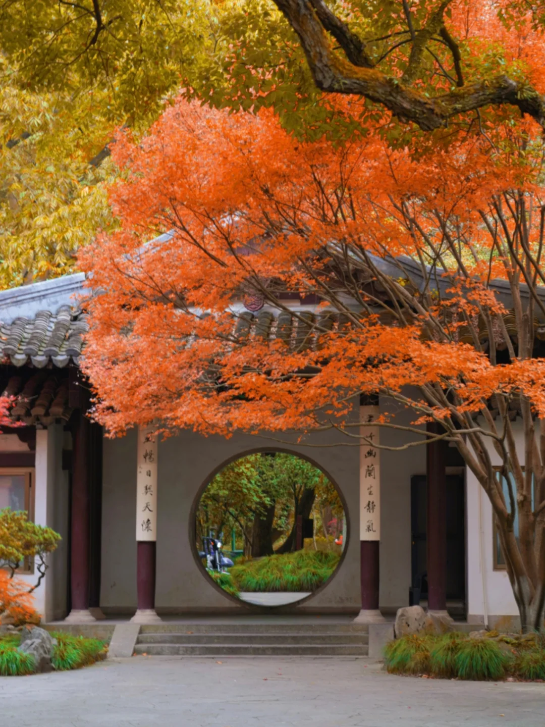 救命‼️这真的是在杭州吗⁉️