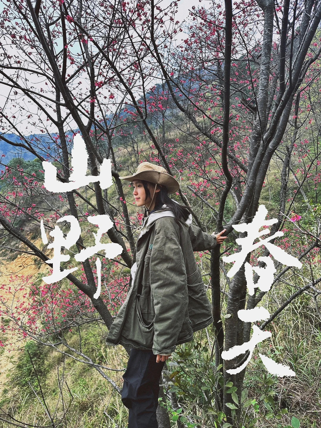 春天的花，野山樱