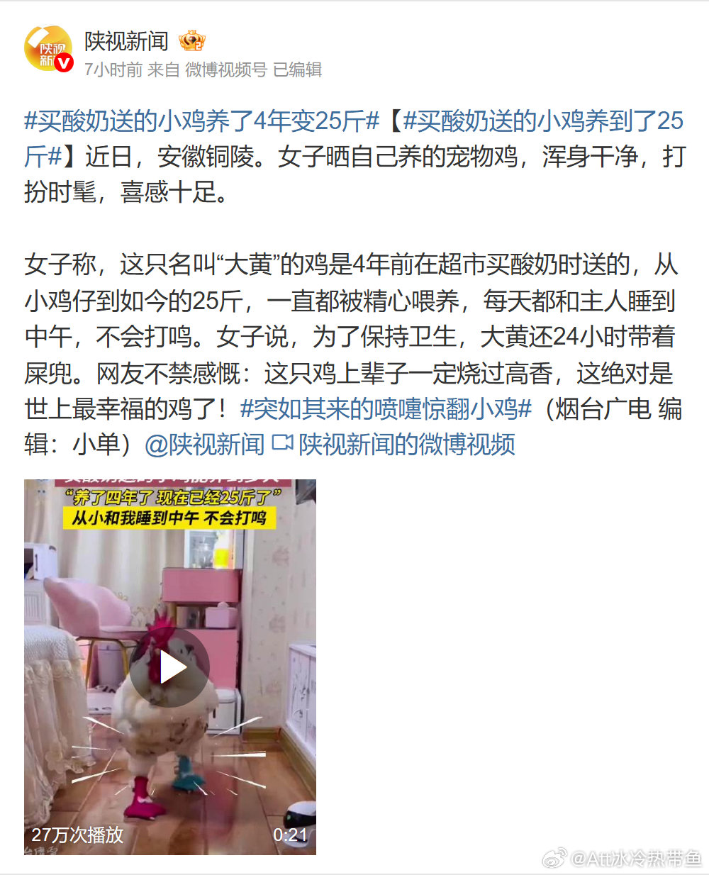 #买酸奶送的小鸡养了4年变25斤#
 陕视新闻报道，安徽铜陵一位女子说，宠物鸡“大黄”是四年前买酸奶送的，如今养到25斤，还跟她睡到中午。看配图，一只脚粉鞋、一只脚蓝鞋。酸奶早喝完了，赠品倒有了自己的穿搭。 ​