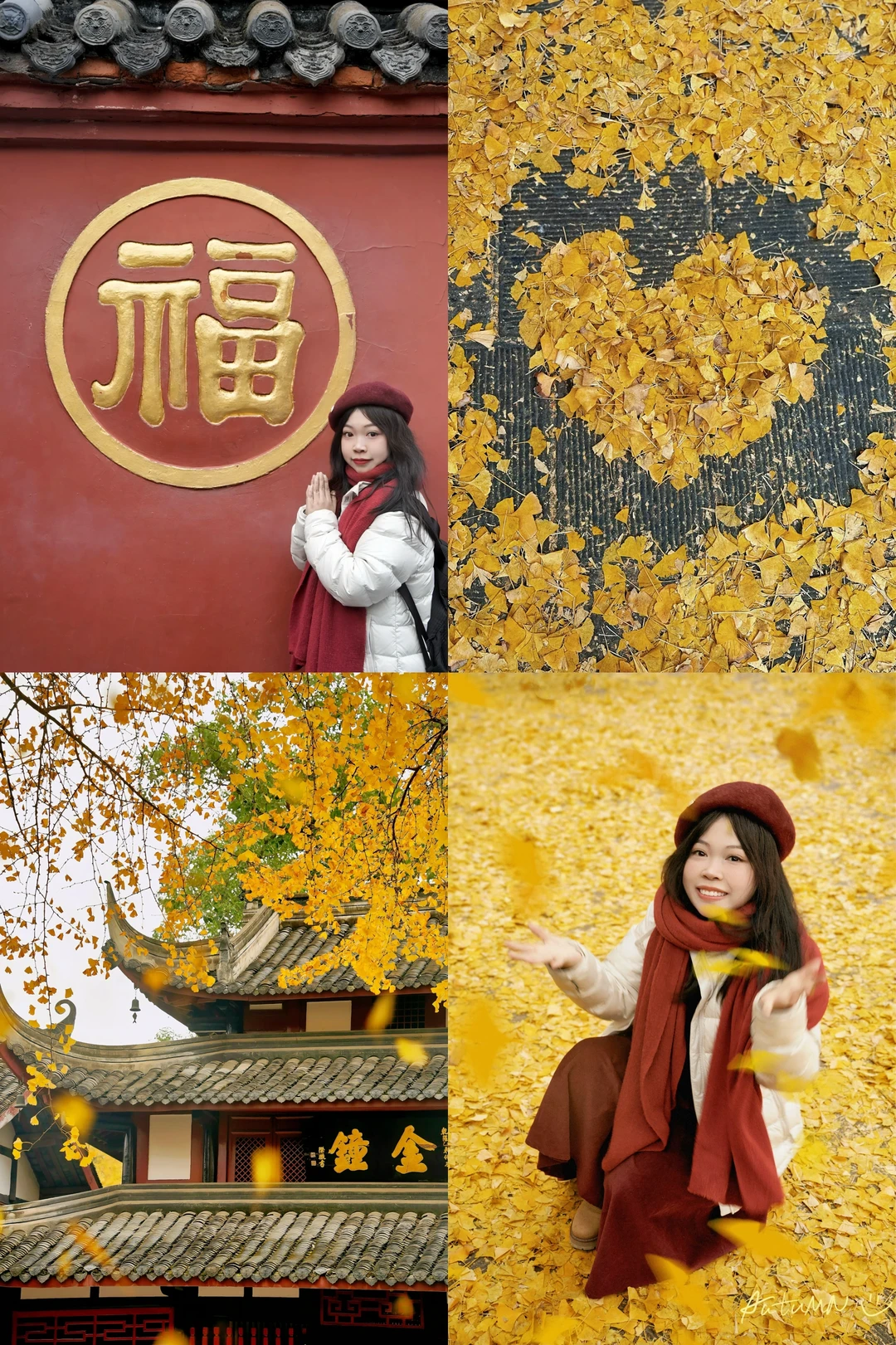 错过等1年❗️成都文殊院千年古刹下起银杏雨