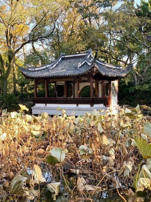 #跨境贸易##报关# [随缘]学习《第一性原理，这是由李善友撰写，核心源自马斯克推崇的物理学思维：抛开经验类比与固有成见，回归事物最基础、不可推翻的基本事实，再从底层重新推导，而非简单参照过往经验做判断。
    第一性原理是剥离所有假设、经验与表象，直达问题最根本的公理，从头推演可能性。书 ​