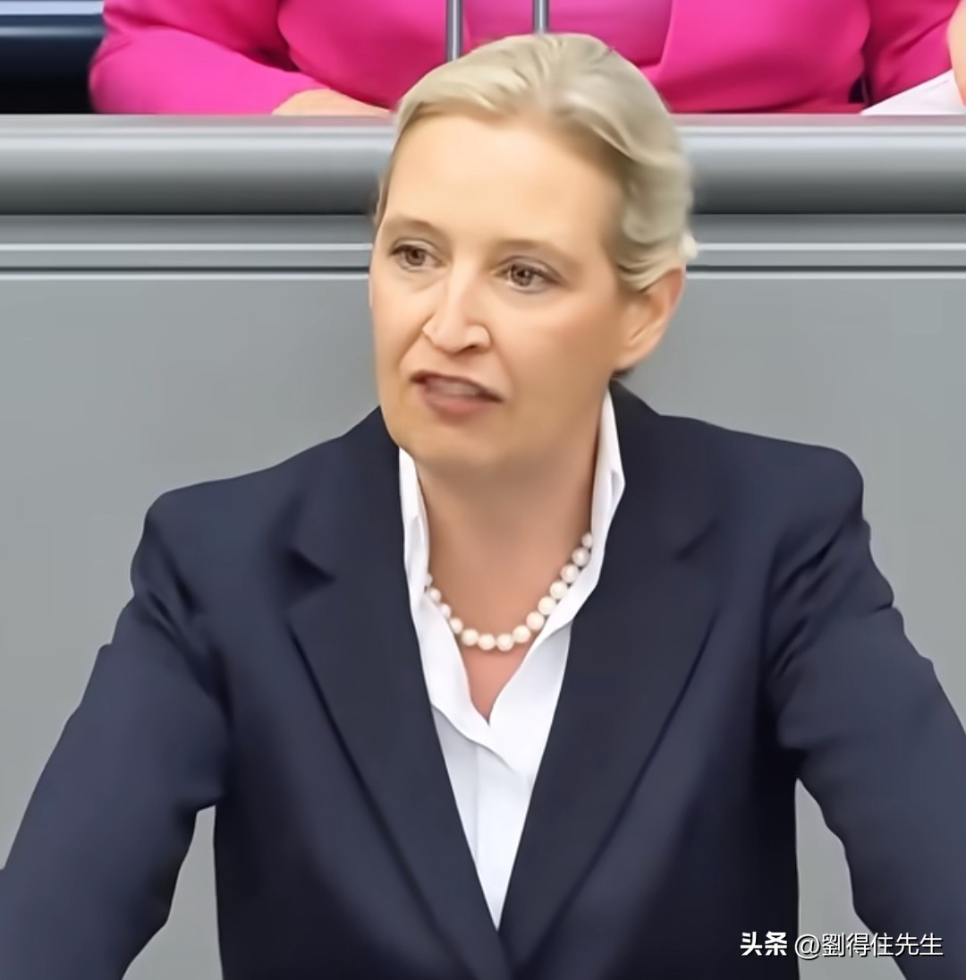 德国选择党主席魏德尔: 法国和德国实际上已经破产。
当地时间9月7号，德国选择党主席爱丽丝·魏德尔在德国联邦议院的预算辩论会上发表言论说，如果只能靠借新债来偿还债务的利息，那就是破产。法国实际上已经进入了拖延破产的阶段，德国在本届政府之下已经紧随其后。魏德尔强调，德国实际上已经破产了，因为德国没钱了