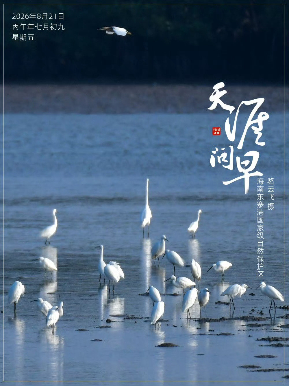 #早安[超话]##天涯问早# 不必赶路，只需随心漫步[吹风车]。这一程，慢慢来，反而更自在[yeah]~早安[兔子]

#华裔大学生海南自贸港研习##我国气候异常##中国铁路加速驶入AI赋能新阶段##中国赴日游客数量连续8个月暴跌##多地公布七夕结婚领证数据##金饰克价一夜飙涨37元# ​