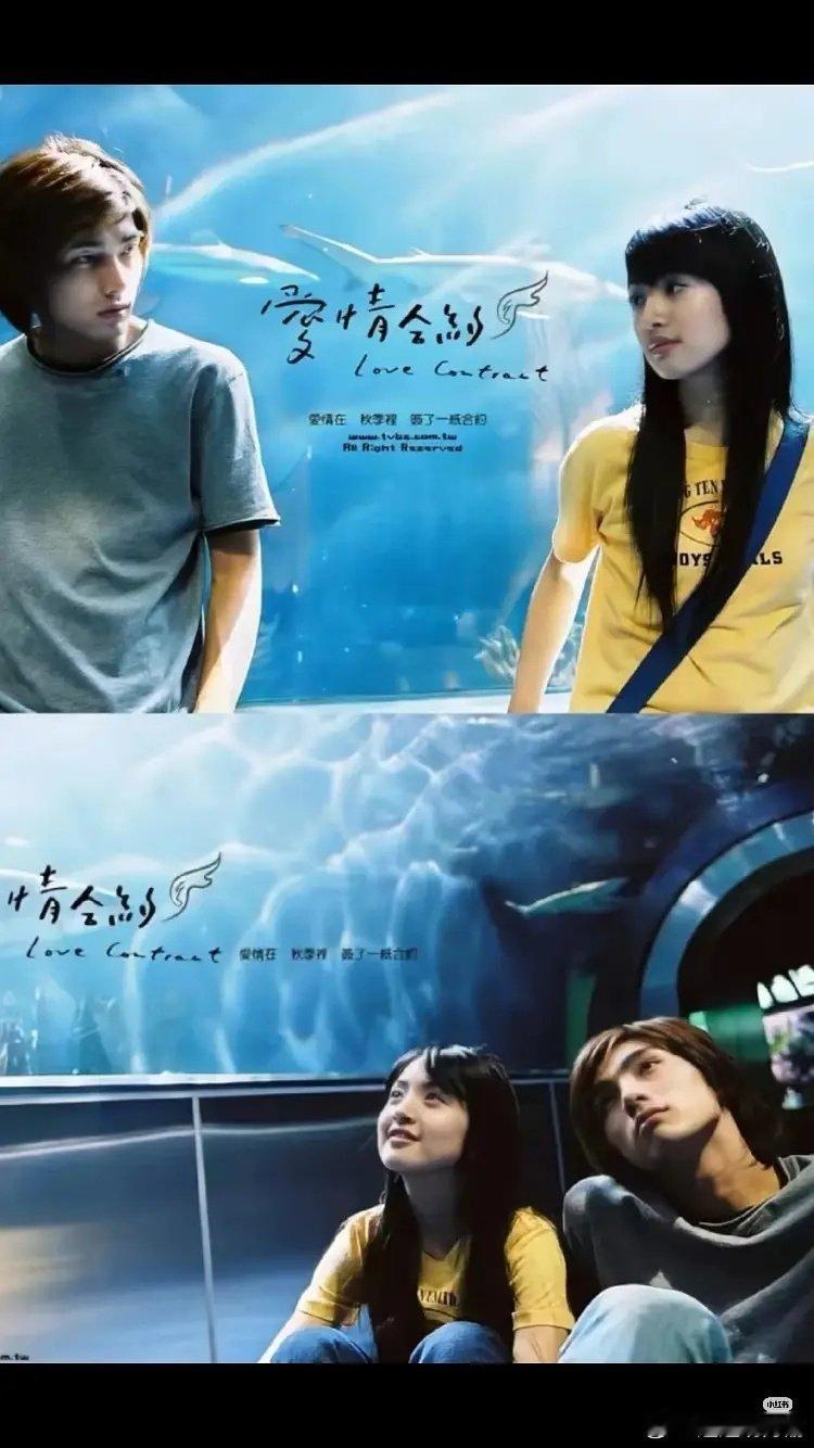 你觉得其中哪一个真的谈过恋爱 ​