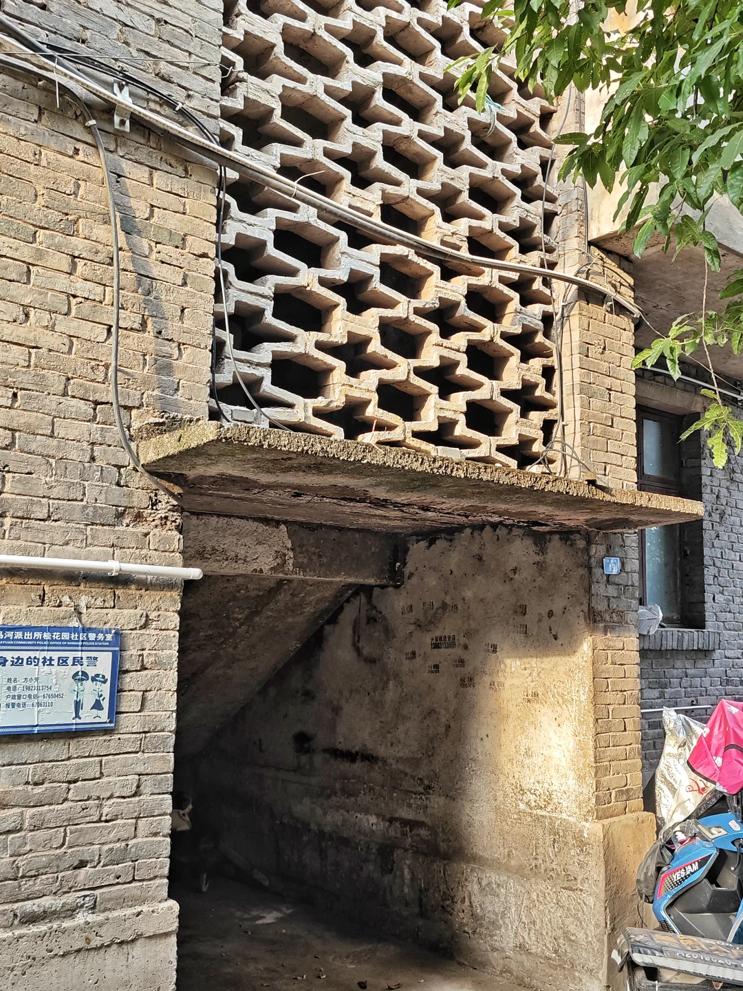 重庆江北农场(citywalk367)