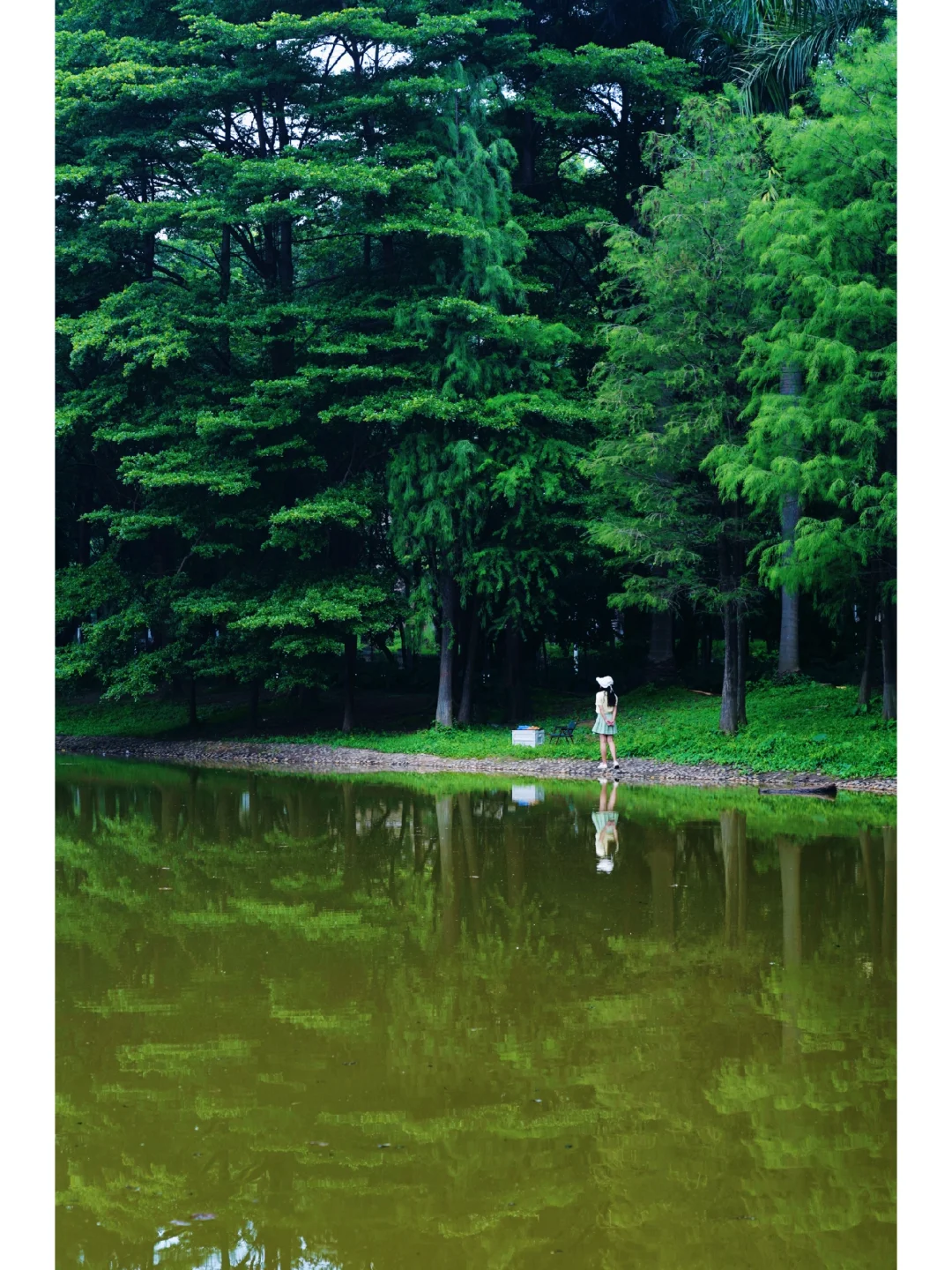 广州大学城🏕小众湖泊森林露营地泰惬意