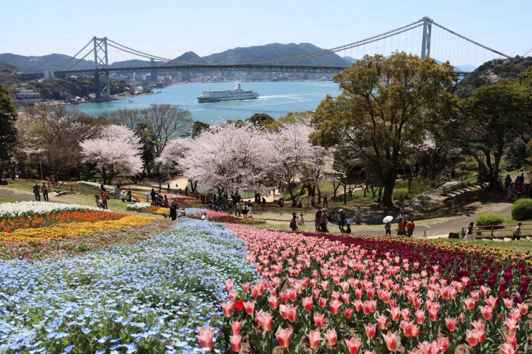 日本山口丨这座公园是上天给人间的礼物吧🎁