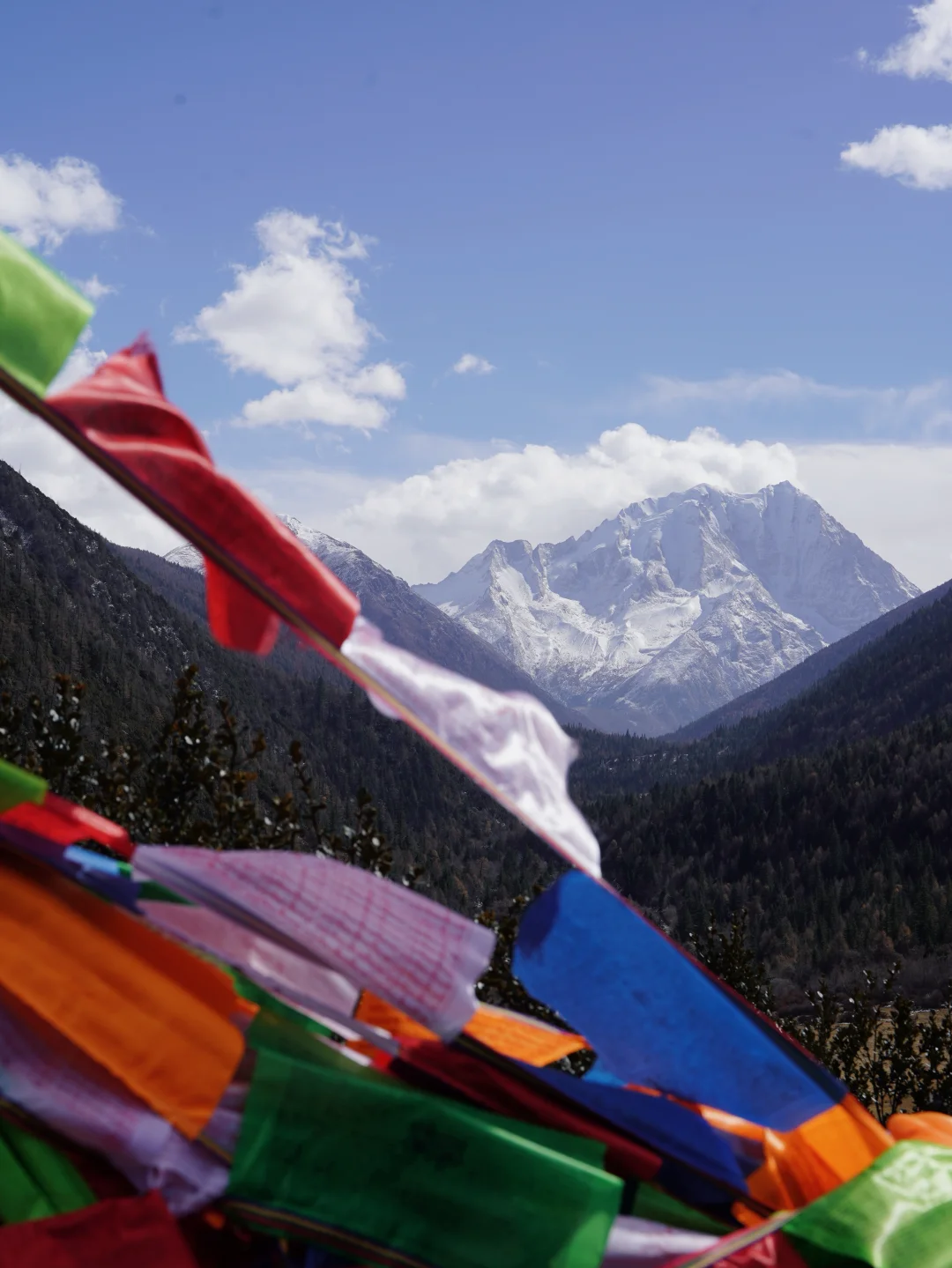 永远为雪山沉迷，永远向往自由与远方✨