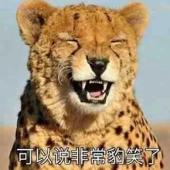 聊天怎能缺少好玩的表情包
