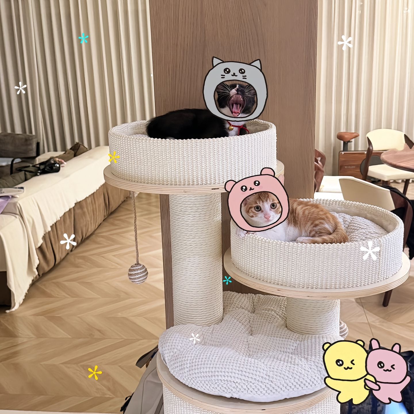 吴露可逃 hh 露思🫘更新27图2️⃣1️⃣网页链接 “🔑精力是有...