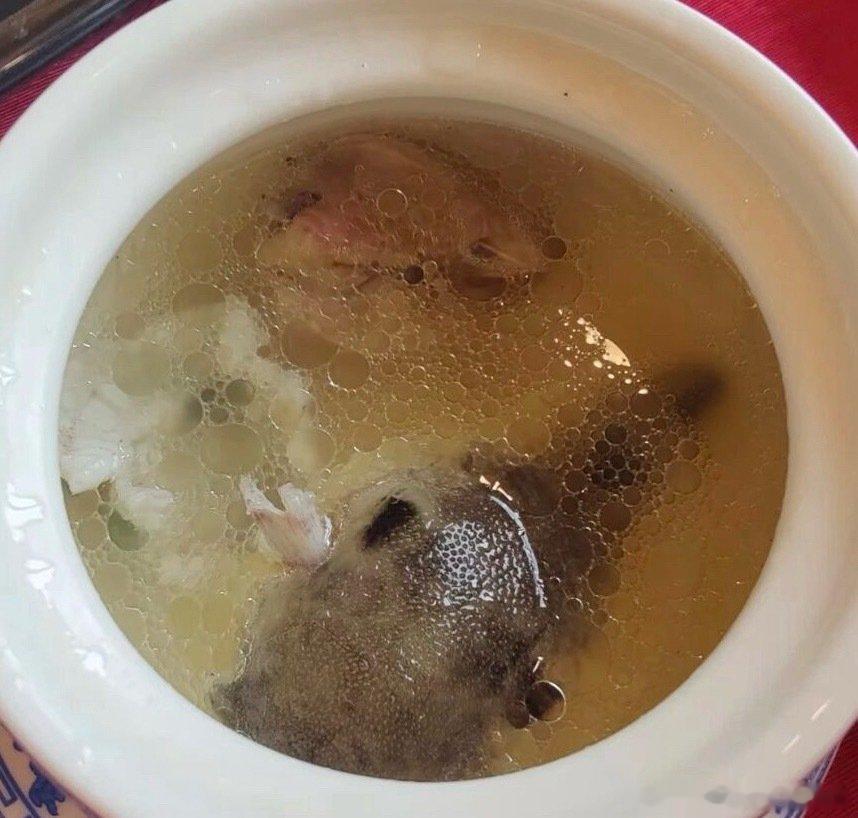 每年八到十月，太湖鲃鱼最是肥美，也是吃“鲃肺汤”的最好季节。鲃鱼原名斑鱼，长三寸左右，样子有点像小只河豚，鱼肝肥嫩、肉质细腻著称。每年初秋，斑鱼会从长江游到太湖来繁衍生息，冬至过后就不见踪迹。 ​