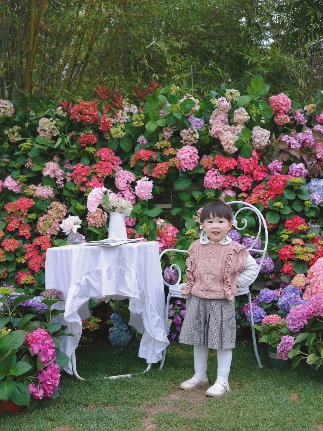 我宣布‼️这几千支绣球花是武汉顶流了‼️