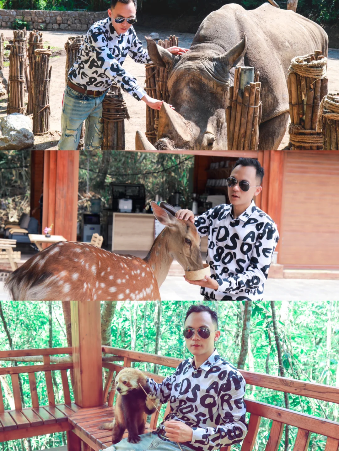 撸小熊猫、摸犀牛，住森林木屋｜简直太爽了！