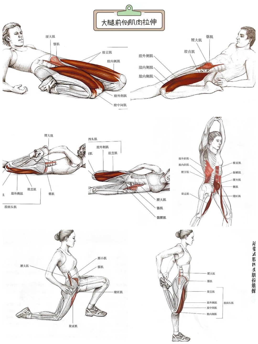 大腿前侧拉伸方法🔥告别“大象腿”超好用𓀁