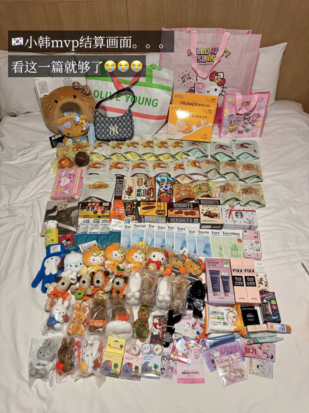 济州岛已回，能劝一个是一个。。。。🥲