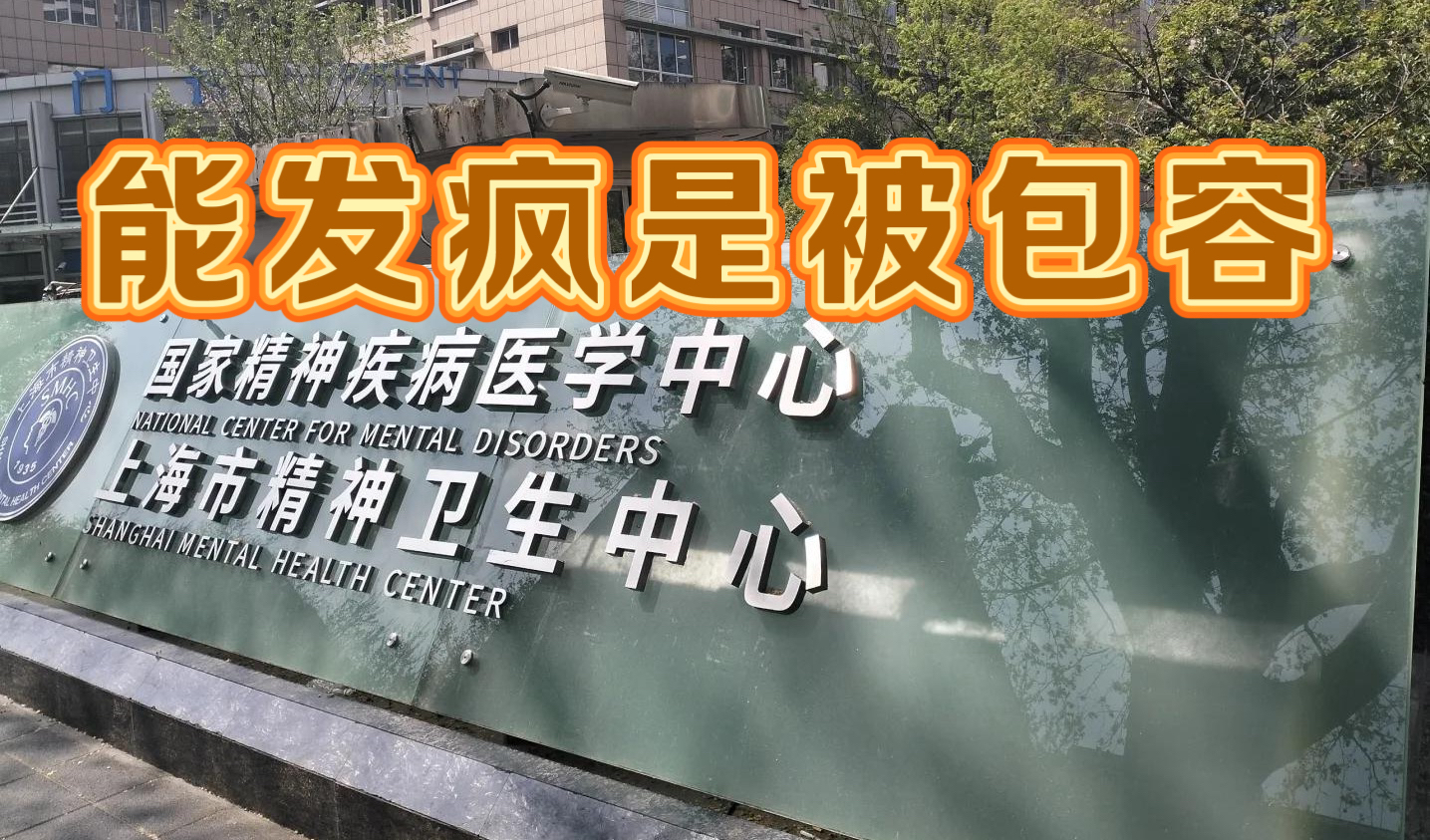 《能发疯是被包容》

一个疯子骚扰正常人，后者因为明白跟疯子计较一点不体面，索性
