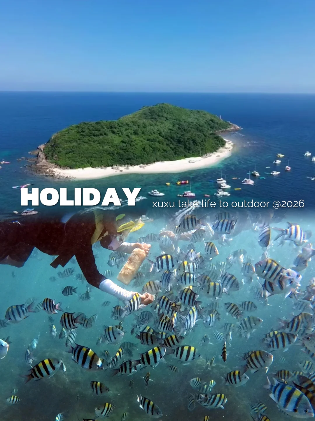 带娃玩转海岛玻璃海 满眼鱼🐟 live超真实