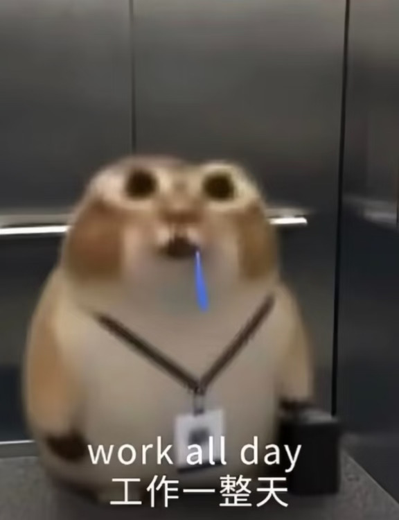 出警日记