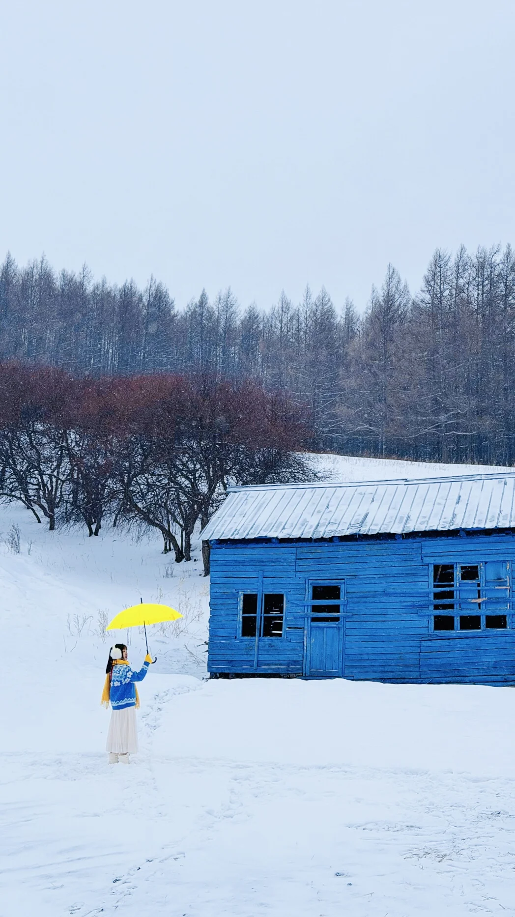 我应该这辈子都忘不了呼伦贝尔的冬天了‼️