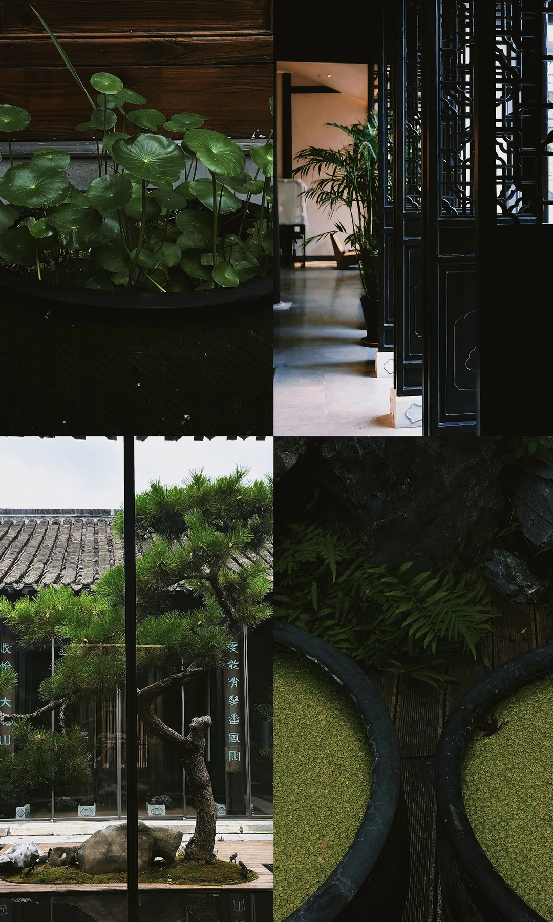 扬州慢 | 找到了治愈人心的中式美学体验～