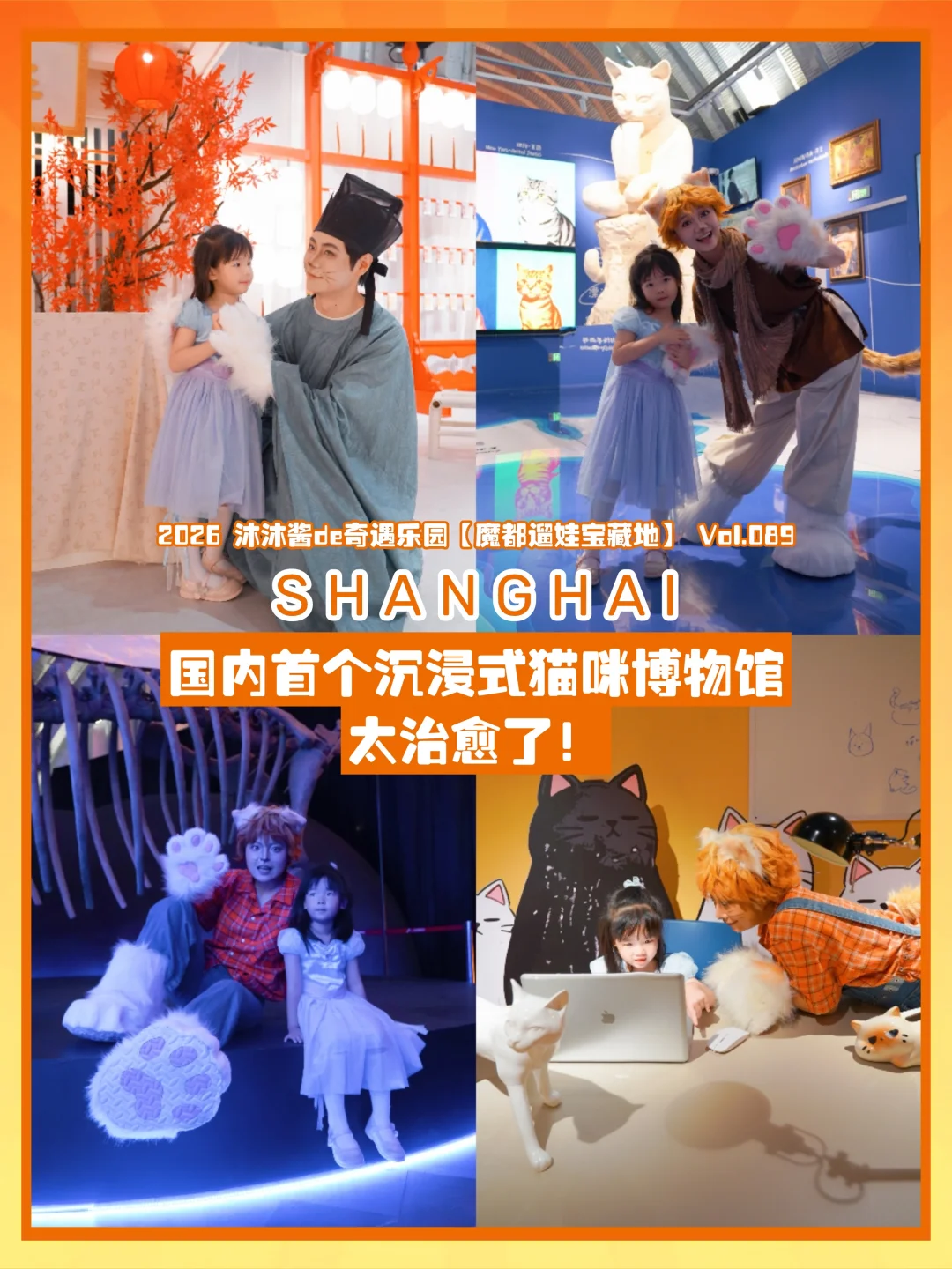 魔都遛娃89 | 新晋吸猫圣地打卡指南