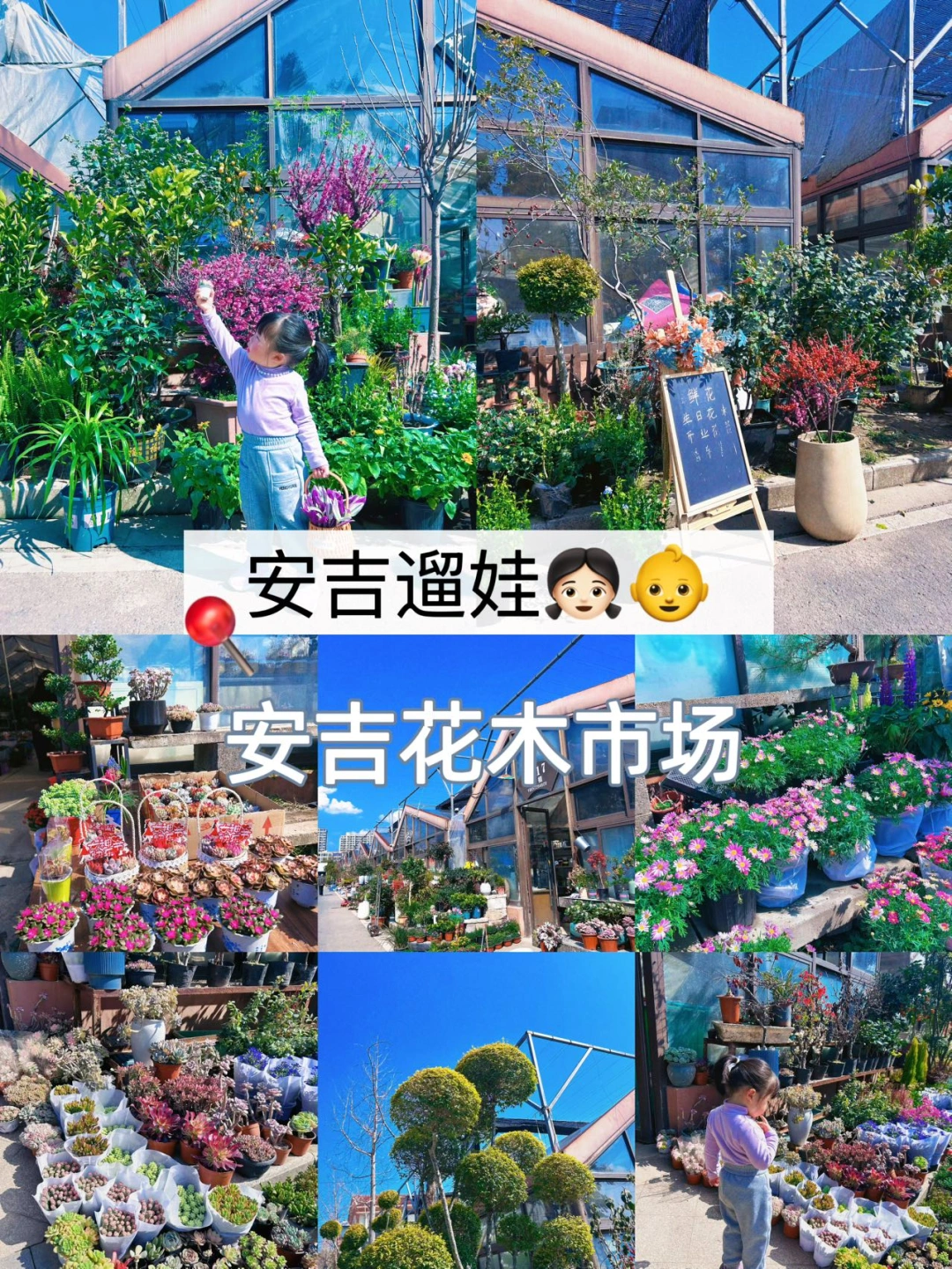 安吉遛娃|带娃从小逛花木市场