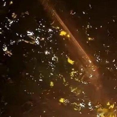 哈兰德空门不进 剧本都不敢这么写！😱 上半场补时阶段，哈兰德抢断门将...