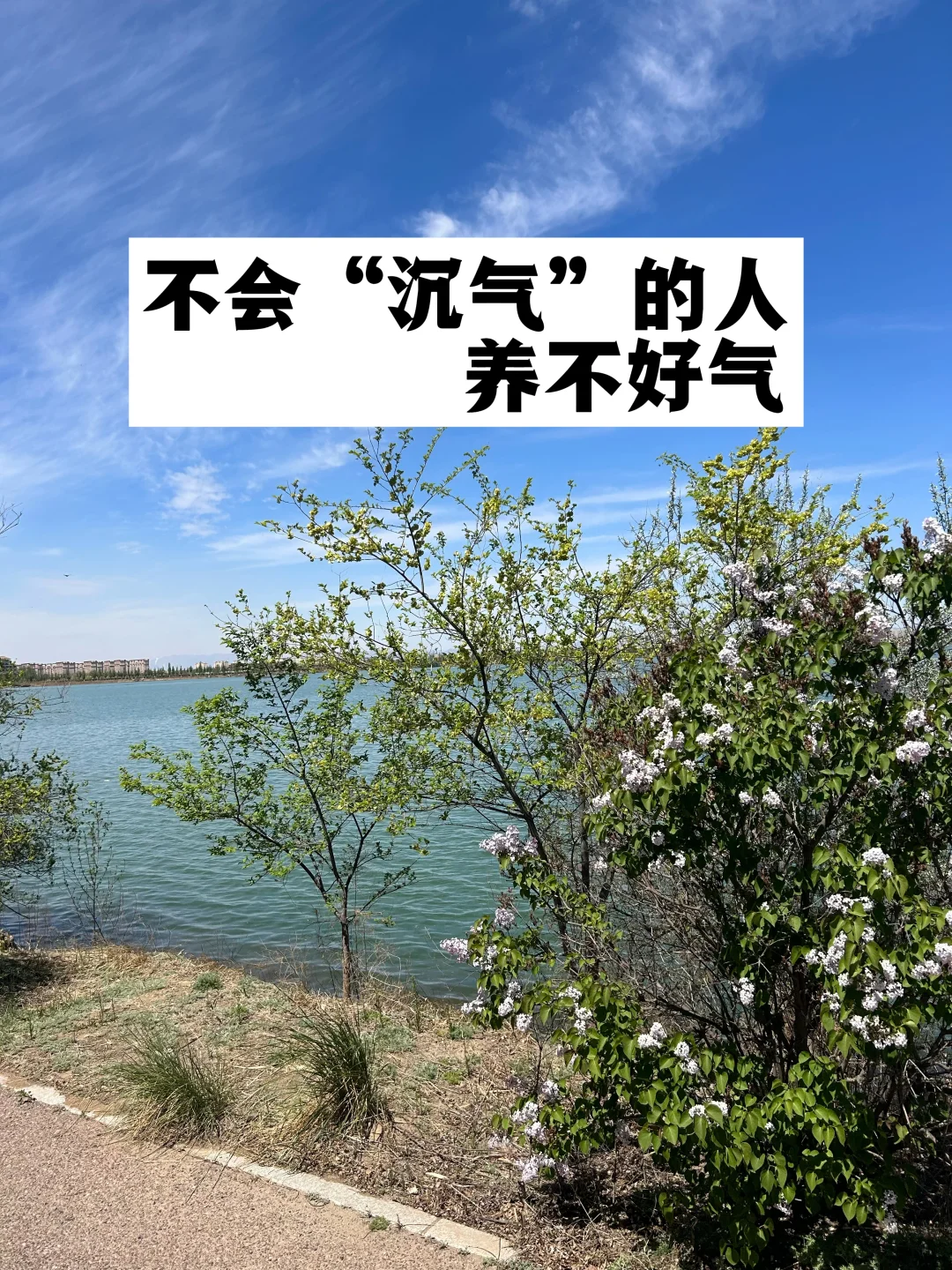 不会“沉气”的人，养不好气.