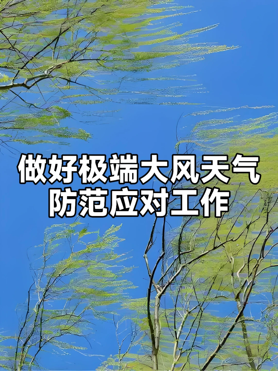 体制内：做好极端大风天气防范应对讲话材料