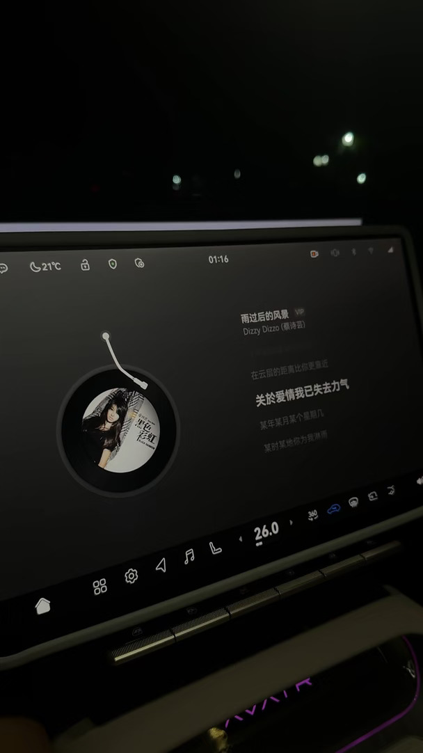 沉浸式感受阿维塔12音响的音质