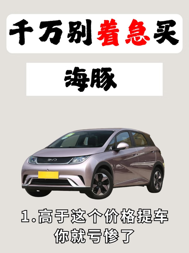 新手代步首选，比亚迪海豚测评
