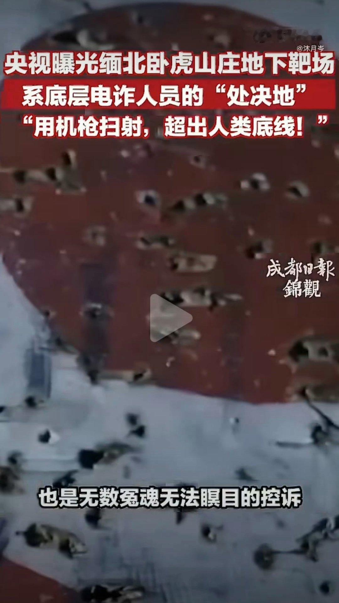 #缅北电诈园区枪决底层人员#其实说电诈园区真的太轻了。那里就是人间炼狱。 ​