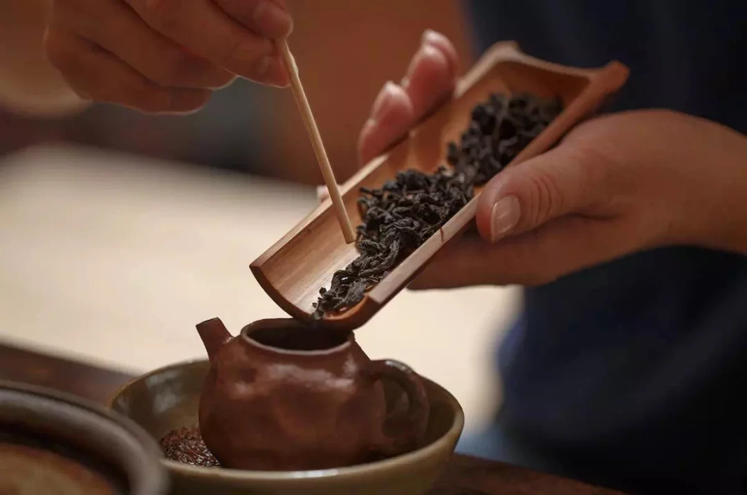 人生就像一杯茶， 不似酒的浓烈，也不似水的寡淡