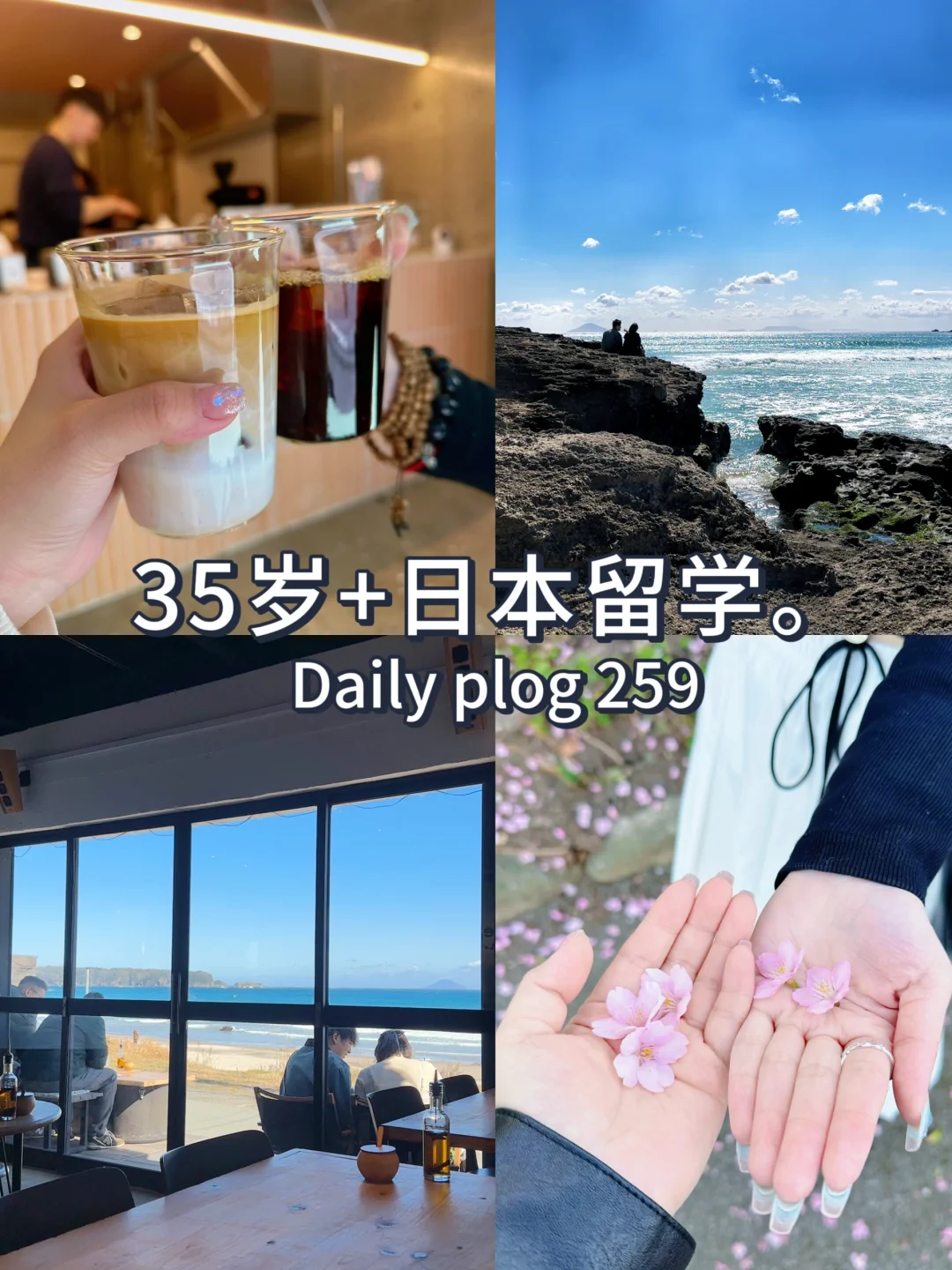 35岁+日本留学✈️语校毕业前拿到内定了😚