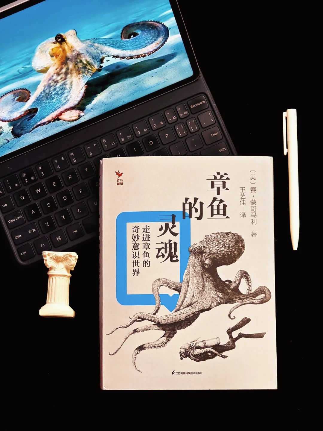 别信电影！章鱼🐙原来比我们更懂得温柔