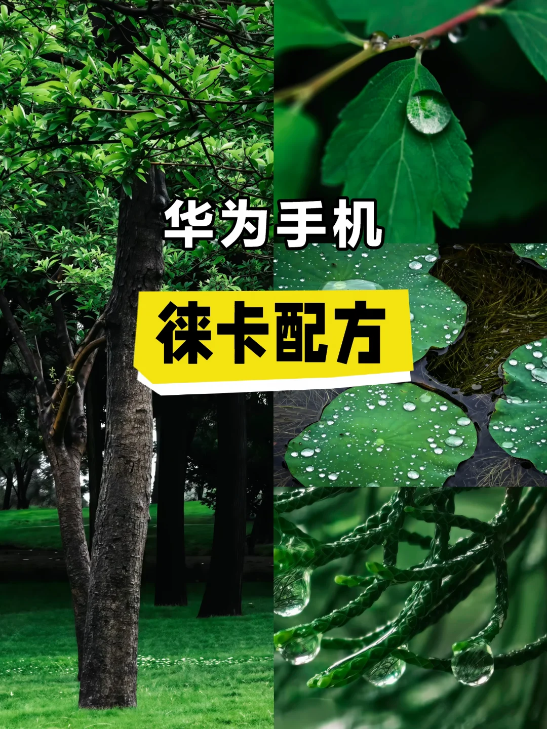 华为用户也拥有属于自己的“徕卡一瞬”了！